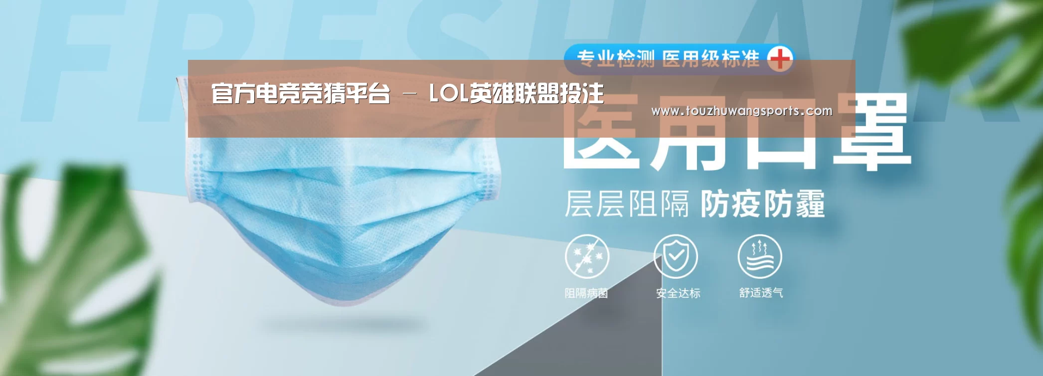 某某口罩防护用品有限公司