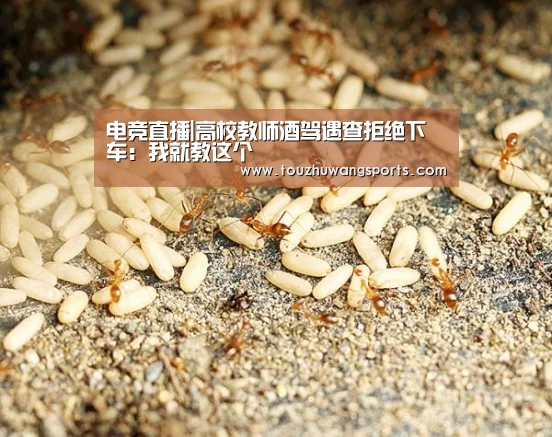 LOL英雄联盟投注 - 官方电竞竞猜平台官网