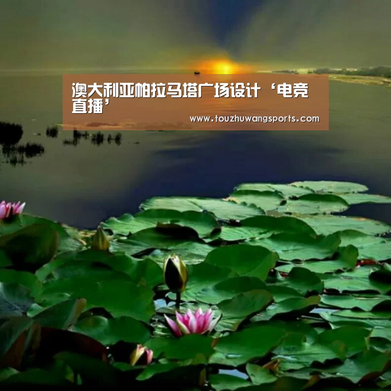 澳大利亚帕拉马塔广场设计‘电竞直播’(图2) LOL英雄联盟投注 - 官方电竞竞猜平台