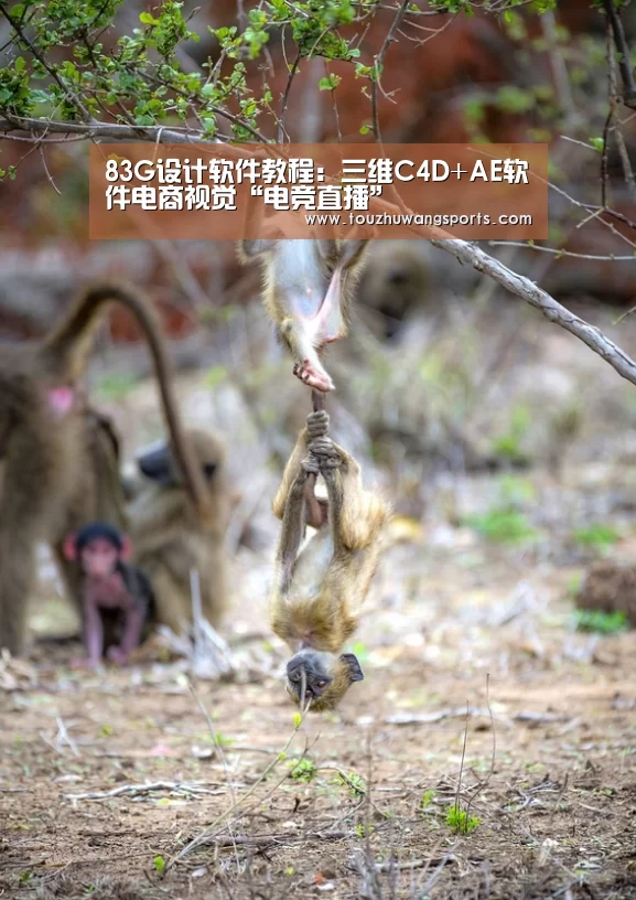 83G设计软件教程:三维C4D+AE软件电商视觉“电竞直播”(图3) 电竞赛事